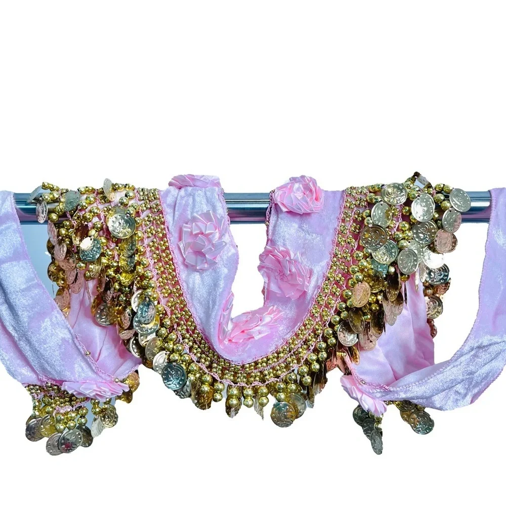 Belly Dance Skirt with Gold Coins and Rose Petals